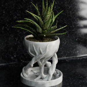 Succulent Planter with Twisted Tree Root Stand